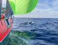 The conditions at the Globe 5.80 were mostly favourable, but also challenging.