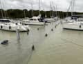 No end in sight yet: 80 centimetres more to come