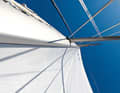The backstay is loose, the leech closes, the sail becomes more bulbous