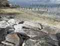 Des ports vides sur l'Untersee, comme ici à Berlingen. Le lac a un besoin urgent de ravitaillement en eau.