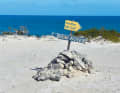 ... or exploring deserted islands