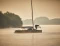 Brouillard matinal sur l'Elbe. Ce n'est pas rare à la fin de l'été et en automne.