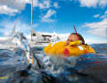 AIS-MOB: The small emergency transmitters for the lifejacket also work with a receiver only