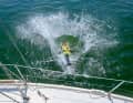 1st person overboard!