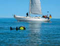 Whether with a Q-tack and uphaul or an immediate tack and back standing genoa: start the engine and support. The manoeuvre should be quick, so practise!