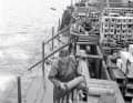 The victorious Allied powers organised the dumping of all munitions in German waters in the North Sea and Baltic Sea