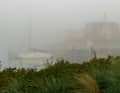 Nebel über Port Olpenitz