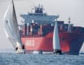 Chi parte per l'isola deve prima fare i conti con le grandi navi presenti in molti luoghi.