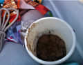 Gebunkerter Sand an Bord der "Wilma"