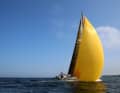 The gennaker is set on the fixed nose.