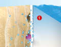 Jeder GFK-Rumpf nimmt durch das Gelcoat Feuchtigkeit mittels Diffusion in Form von Wasserdampf auf. Die Feuchtigkeit sammelt sich in den baubedingten Hohlräumen zwischen Gelcoat und Laminat