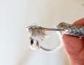 When selecting the size of the splicing needle, you must follow the manufacturer's recommendation, then the size of the eye of the needle will also fit