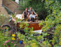 Community work in the garden at home. Numerous helpers are enthusiastic about the project and join in.