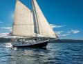 No cockpit, but a deckhouse instead. The all-weather yacht is as unconventional as its name after a giant clam