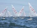 Hier tanzt die Zoom8-Flotte vor dem Wind.