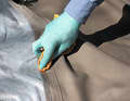 If something does spill, wipe it up immediately with a damp microfibre cloth, never allow it to dry out