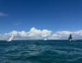 Hier fetzen die Class40-Teams los im Globe40.