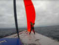 That's where the second clew should be. Pip Hare on the forecastle of the slightly battered Medallia