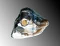 The sea has drilled a hole in some flints