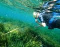 Working together for marine conservation