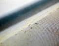 Un'immagine sgradevole: Nelle curve del ponte di prua e nella modanatura della ringhiera, il gelcoat è pieno di sottili crepe. Fortunatamente, il problema si presenta raramente su un'area così ampia.