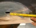 To ensure that the fuselage regains its full strength, the length of the joint between the old and new laminate should be twelve times the thickness of the material; to do this, a cone about ten centimetres wide is ground into the fuselage around the hole