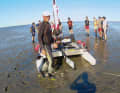 Waiting instead of sailing. At low tide, the sailor is marvelled at by mudflat walkers. Soon the journey continues
