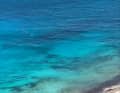 After three days on a desert island, he was rescued, details in the article!