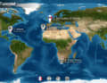 The tutorial is divided into several sections and covers all the important functions