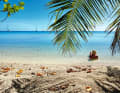 Swimming with the most beautiful view in the world: Hirifa palm beach.
