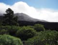 Parc national de La Palma avec le cratère Tajogaite...