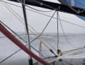 Il video di questo screenshot è collegato in basso nel testo. È pazzesco che Boris riesca a spegnersi e a dormire a questa velocità