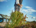 Kristian Dittmann collects what the east wind has washed up on the Baltic Sea beach
