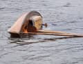 The boat drifted on its side for some time. The survivor clung to it until the fire brigade rescued him