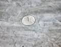 Spak, like mould, is caused by too much moisture, attacks the fabric and makes it brittle