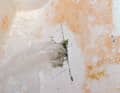 Un buco di pochi centimetri sulla fiancata dell'imbarcazione, come potrebbe apparire dopo una collisione con una carretta. In pochi minuti, l'acqua affluisce così tanto che lo yacht affonda in meno di un quarto d'ora se non si interviene immediatamente.