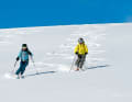 Tracce nella neve: infinite curve in discesa su piste vergini
