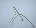 Thread the needle just above the crossing and let it come out after the desired size of the cordage shackle