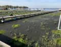 Many footbridges are already unusable. The VESM association is campaigning for a sustainable solution and is calling for swift action.