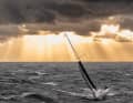 Michael Bells Jones 42 "Minnie" kam als 39. Boot ins Ziel