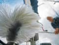Sensitive surfaces such as superstructure windows, hatches and polished gelcoat surfaces should be cleaned with a mop or soft brush to avoid scratches