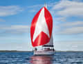 Le vele colorate e spaziose sono belle e portano velocità, ma sono adatte all'equipaggio? Ogni vela porta con sé alcune sfide che devono corrispondere alle vostre preferenze personali e al vostro profilo di utilizzo.