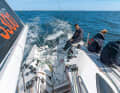 Numerous: Many trim options mean many lines and fittings in the cockpit. The helmsman is happy about the folding footrests