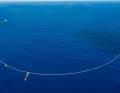 Two ships tow the net slowly