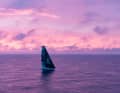 Paul Meilhats "Biotherm" führt die Flotte auf Etappe 1 im Ocean Race Europe einen Tag vor dem erwarteten Finale in Portsmouth weiter an.