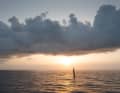 What else can Team Holcim-PRB do in the final sprint? Recently, Team Malizia also made a strong comeback behind the Swiss Imoca.