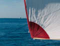 Die Aussicht von Bord "Malizia – Seaexplorer".