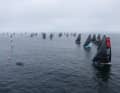 Conditions were flat at the start, "Malizia-Seaexplorer" in the foreground in a good position at the start line