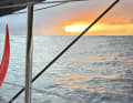 Boris Herrmann's gaze past the fiery red foil to the golden horizon.