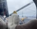 Clarisse Crémer machte dieses symbolträchtige Bild vom Plüsch-Albatross mit Blick aufs graue Meer auf "L'Occitane en Provence".